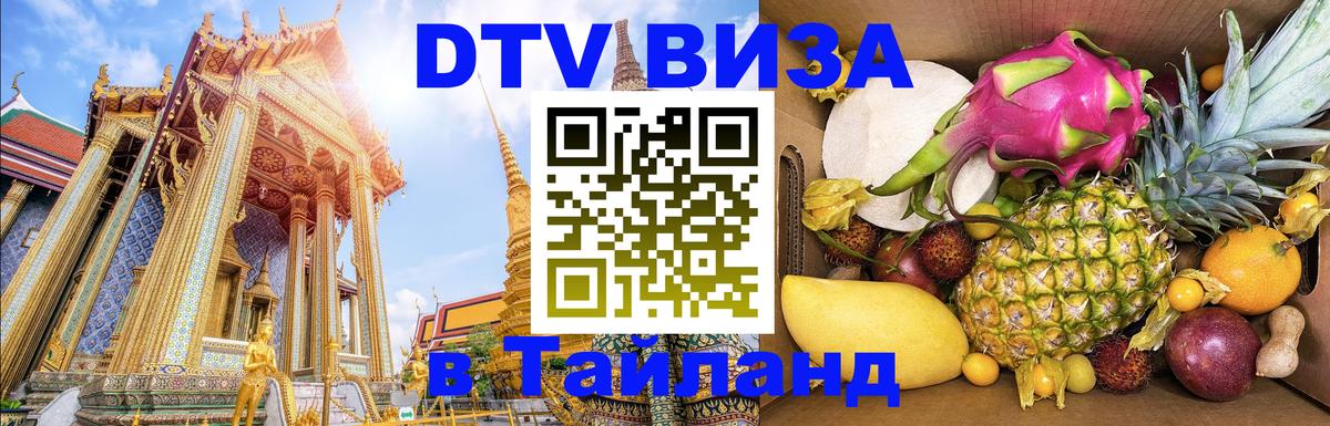 Оформление DTV визы под ключ: стоимость и тарифы, только загранпаспорт - Батайск 